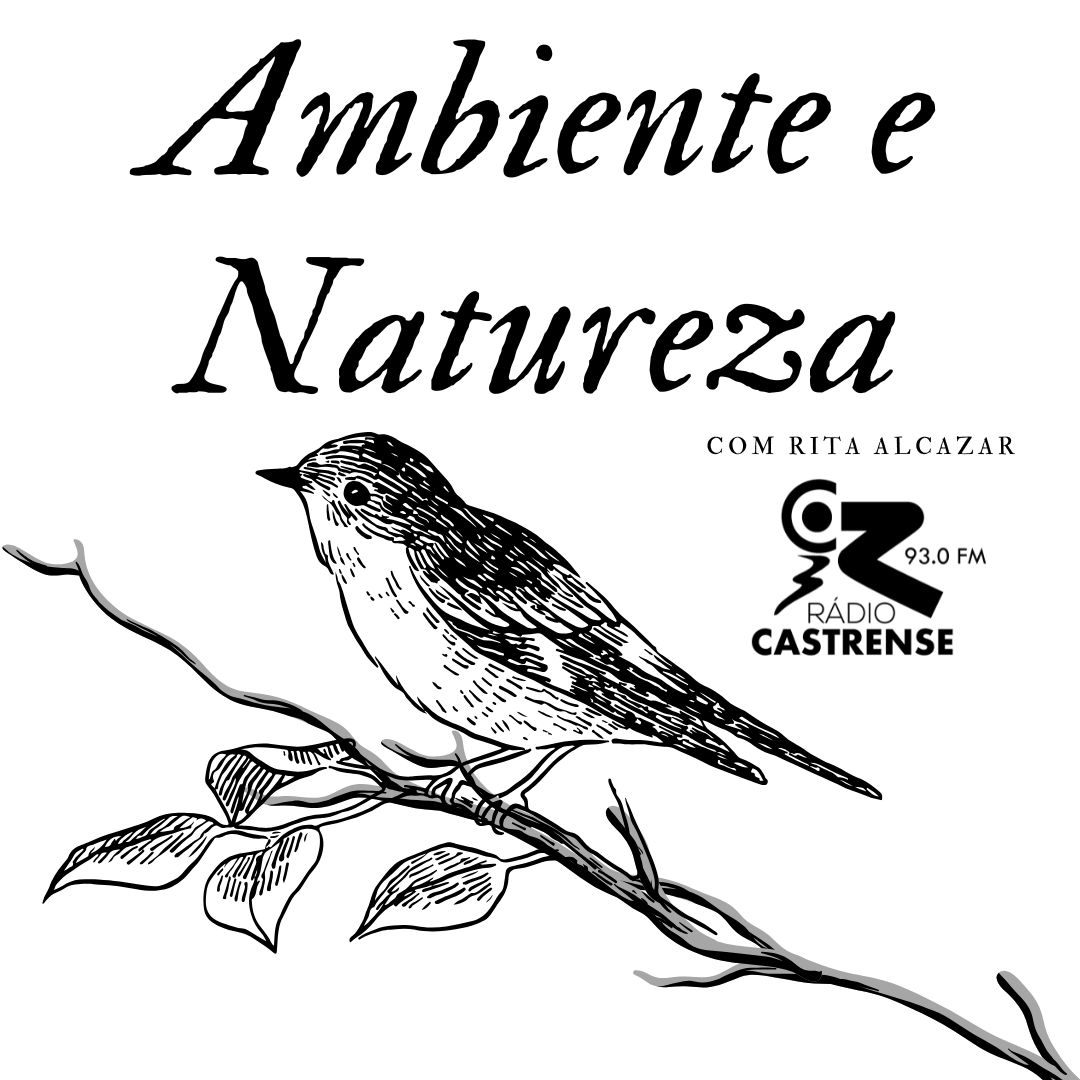 Ambiente e Natureza – Rita Alcazar – 29 de setembro de 2026