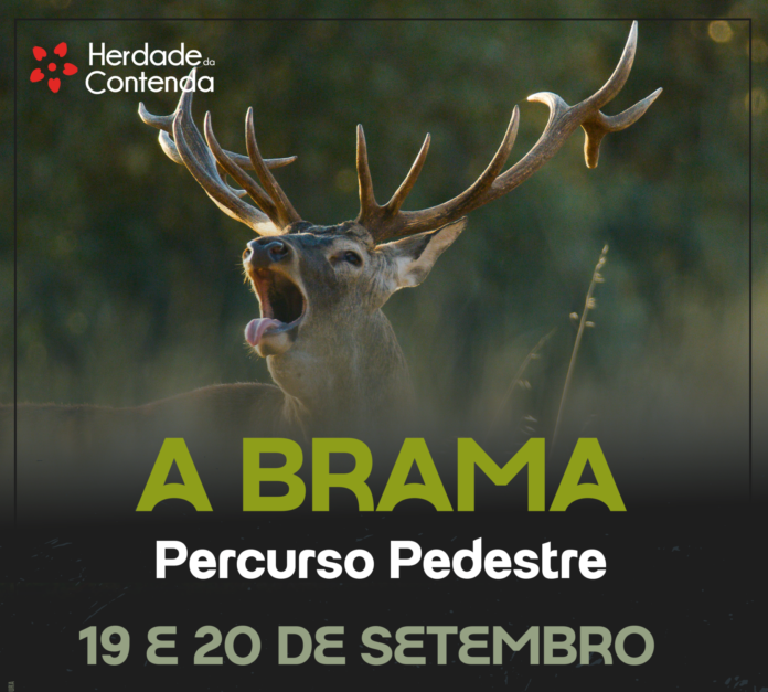 Cartaz_Percursos_Contenda_Brama