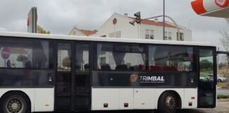 CIMBAL lança concurso para novo contrato de transporte público no Baixo Alentejo