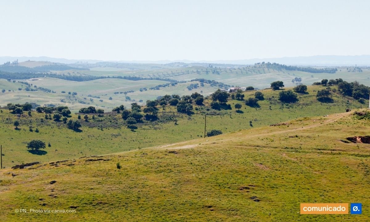 ZERO alerta que 8 milhões de euros para restauro da natureza em áreas urbanas poderão ser apenas “cosmética verde”