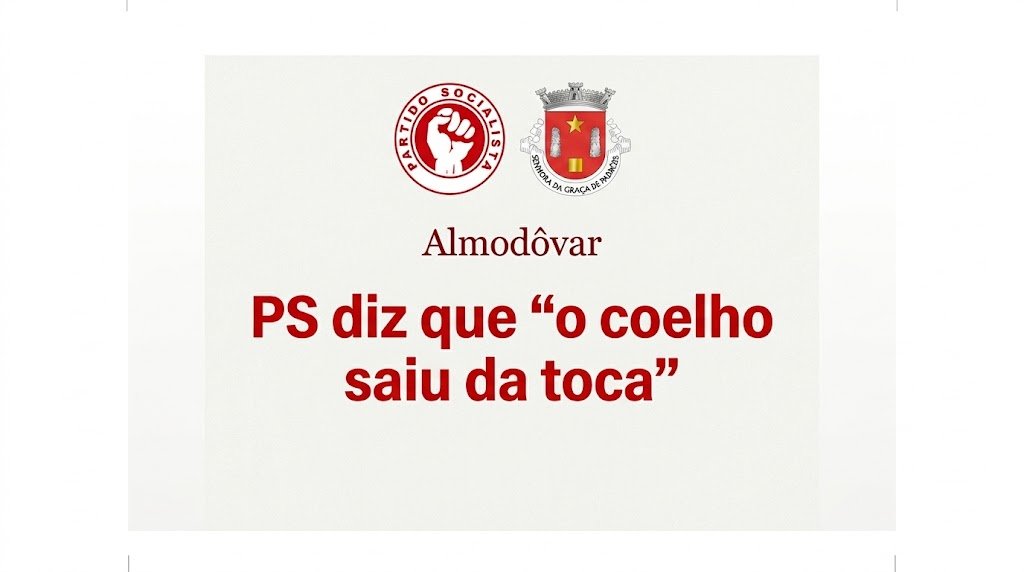 PS de Almodôvar reage às declarações do PSD e diz que “o coelho saiu da toca”
