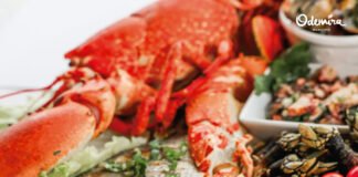 Odemira celebra os sabores do mar em Semana Gastronómica do Peixe e Marisco