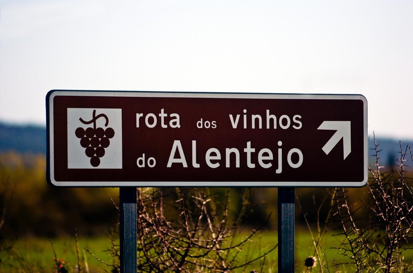 Alentejo vínico em destaque nas Novas 7 Maravilhas de Portugal