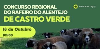 Feira de Castro recebe amanhã o Concurso Regional do Rafeiro do Alentejo