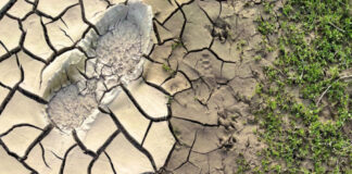 Município de Moura promove ação de sensibilização ambiental sobre as alterações climáticas