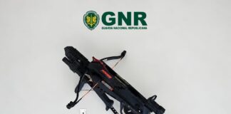 GNR apreende besta e 15 virotões em investigação por violência doméstica em Serpa