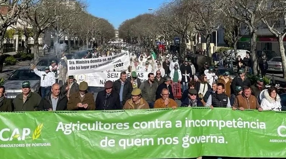 “O governo têm de ouvir as reivindicações do setor agrícola” alerta Rui Garrido
