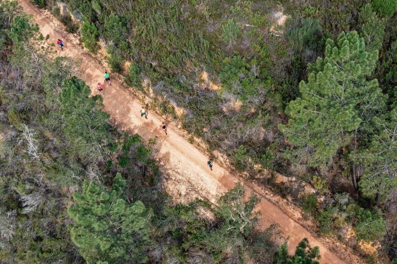 Serra de Grândola recebe 11.ª edição do Ultra Trail no próximo domingo